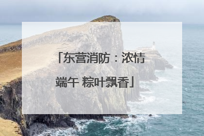 东营消防：浓情端午 粽叶飘香