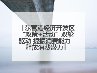东营港经济开发区“政策+活动”双轮驱动 提振消费能力 释放消费潜力