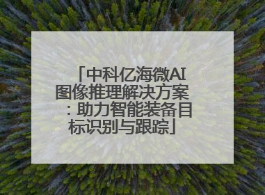 中科亿海微AI图像推理解决方案：助力智能装备目标识别与跟踪