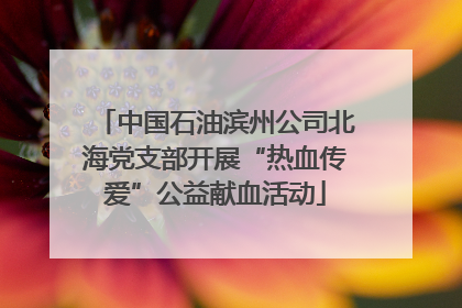 中国石油滨州公司北海党支部开展“热血传爱”公益献血活动