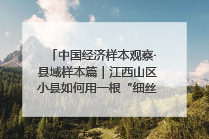 中国经济样本观察·县域样本篇｜江西山区小县如何用一根“细丝”拉出百亿级产业？