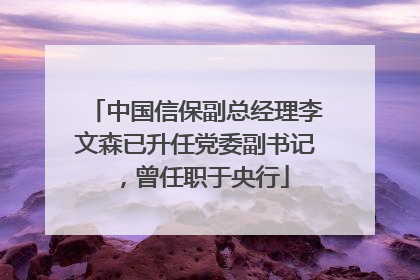 中国信保副总经理李文森已升任党委副书记，曾任职于央行