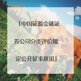 中国证监会就证券公司分类评价规定公开征求意见