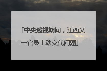 中央巡视期间，江西又一官员主动交代问题