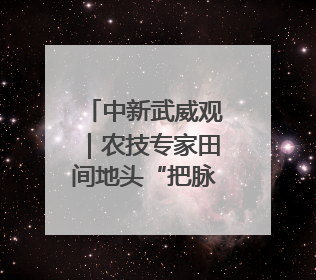 中新武威观｜农技专家田间地头“把脉开方”送“及时雨”