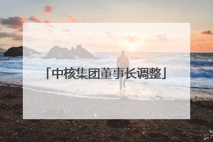 中核集团董事长调整