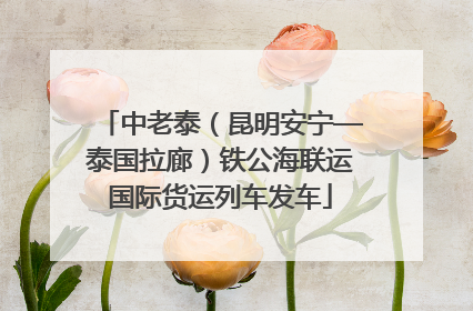 中老泰（昆明安宁—泰国拉廊）铁公海联运国际货运列车发车