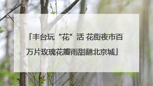丰台玩“花”活 花街夜市百万片玫瑰花瓣雨甜翻北京城