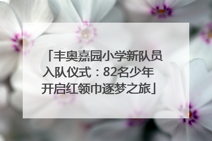 丰奥嘉园小学新队员入队仪式：82名少年开启红领巾逐梦之旅