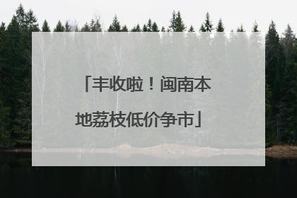 丰收啦！闽南本地荔枝低价争市