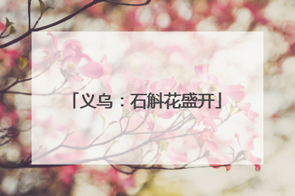 义乌：石斛花盛开