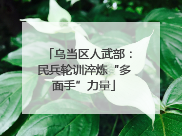 乌当区人武部：民兵轮训淬炼“多面手”力量