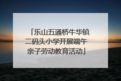 乐山五通桥牛华镇二码头小学开展端午亲子劳动教育活动