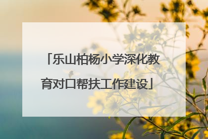 乐山柏杨小学深化教育对口帮扶工作建设