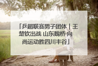 乒超联赛男子团体｜王楚钦出战 山东魏桥·向尚运动胜四川丰谷