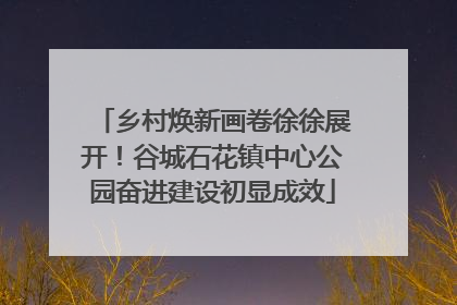 乡村焕新画卷徐徐展开！谷城石花镇中心公园奋进建设初显成效