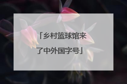 乡村篮球馆来了中外国字号