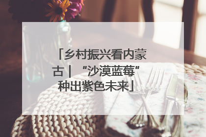 乡村振兴看内蒙古｜“沙漠蓝莓”种出紫色未来