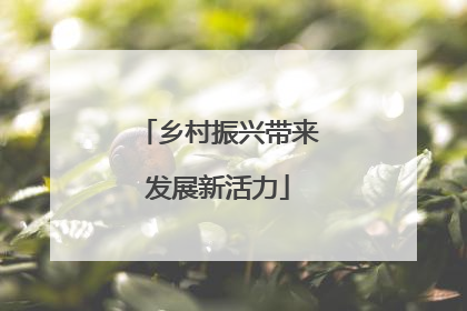 乡村振兴带来发展新活力