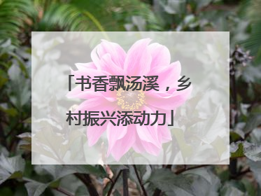 书香飘汤溪，乡村振兴添动力
