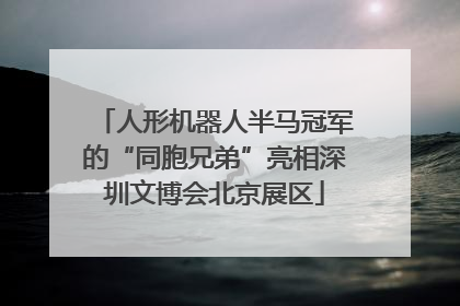 人形机器人半马冠军的“同胞兄弟”亮相深圳文博会北京展区