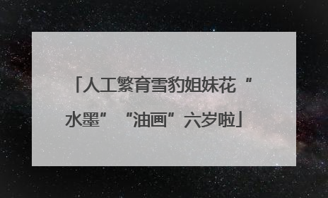 人工繁育雪豹姐妹花“水墨”“油画”六岁啦
