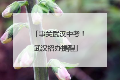 事关武汉中考！武汉招办提醒