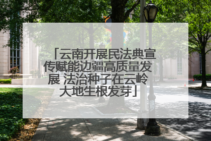 云南开展民法典宣传赋能边疆高质量发展 法治种子在云岭大地生根发芽