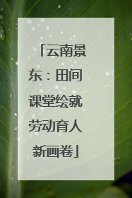 云南景东：田间课堂绘就劳动育人新画卷