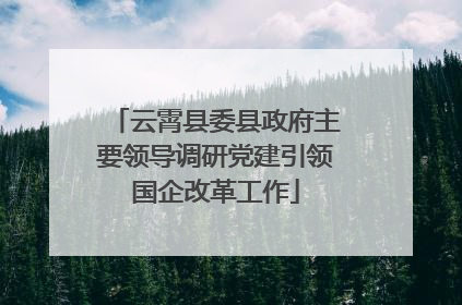 云霄县委县政府主要领导调研党建引领国企改革工作