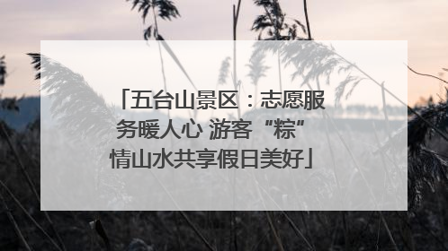 五台山景区：志愿服务暖人心 游客“粽”情山水共享假日美好
