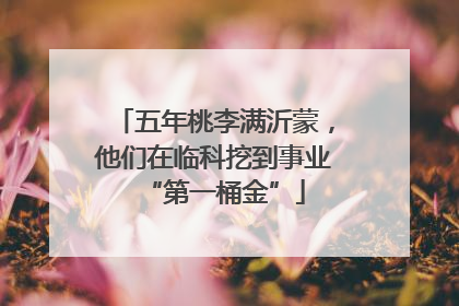 五年桃李满沂蒙，他们在临科挖到事业“第一桶金”