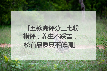 五款高评分三七粉横评，养生不踩雷，榜首品质真不低调