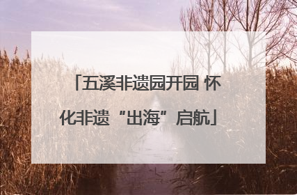 五溪非遗园开园 怀化非遗“出海”启航