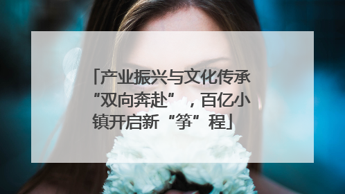 产业振兴与文化传承“双向奔赴”，百亿小镇开启新“筝”程