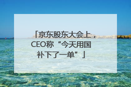 京东股东大会上，CEO称“今天用国补下了一单”