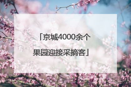 京城4000余个果园迎接采摘客