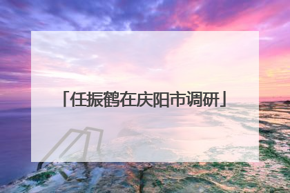 任振鹤在庆阳市调研