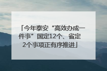 今年泰安“高效办成一件事”国定12个、省定2个事项正有序推进