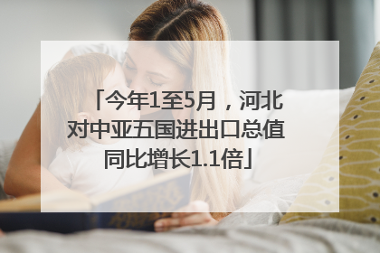 今年1至5月，河北对中亚五国进出口总值同比增长1.1倍
