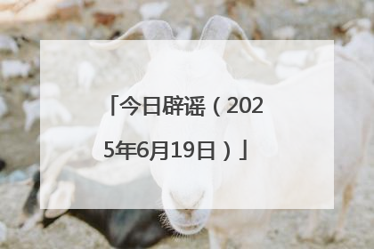 今日辟谣（2025年6月19日）
