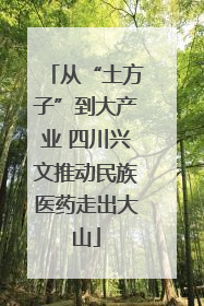 从“土方子”到大产业 四川兴文推动民族医药走出大山