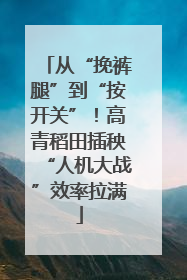 从“挽裤腿”到“按开关”！高青稻田插秧“人机大战”效率拉满