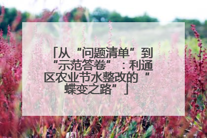 从“问题清单”到“示范答卷”：利通区农业节水整改的“蝶变之路”