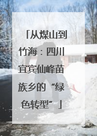 从煤山到竹海：四川宜宾仙峰苗族乡的“绿色转型”