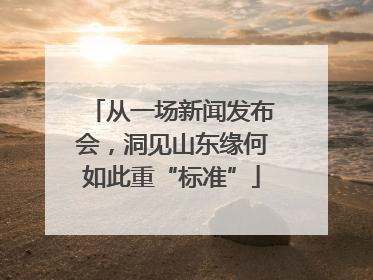 从一场新闻发布会，洞见山东缘何如此重“标准”