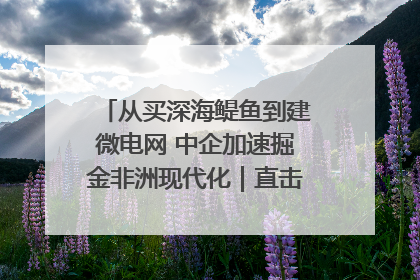 从买深海鳀鱼到建微电网 中企加速掘金非洲现代化｜直击中非经贸博览会