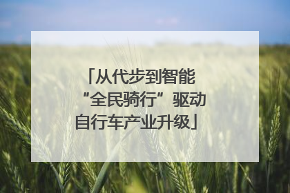 从代步到智能 “全民骑行”驱动自行车产业升级