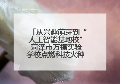 从兴趣萌芽到“人工智能基地校” 菏泽市万福实验学校点燃科技火种，赋能未来人才