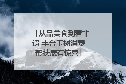 从品美食到看非遗 丰台玉树消费帮扶展有惊喜